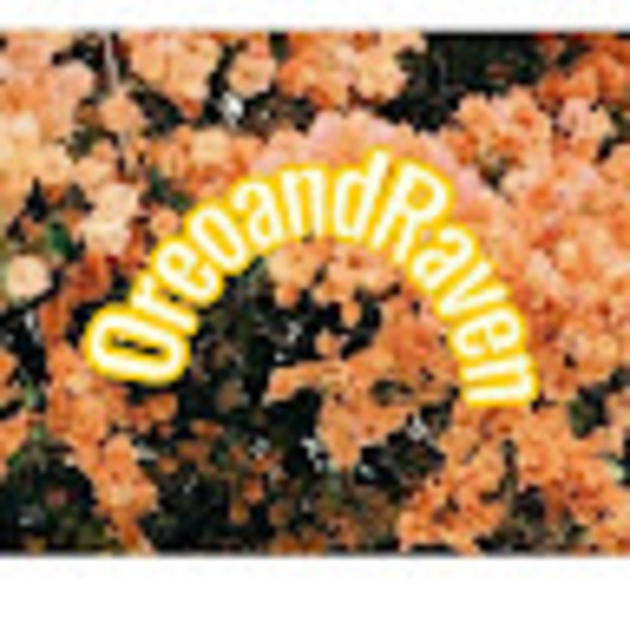 Meet your Posher, Oreoandraven - Picture 1 of 1